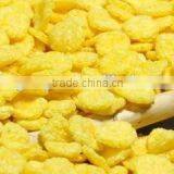 Automatic Wholesome Breakfast Cereal-Corn Flakes Production Line thumbnail-5