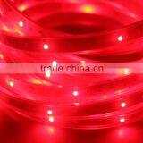 5M Flexible RGB LED Light Strip 3528 SMD 5M 300 LEDs Waterproof 24Keys IR Remote Controller