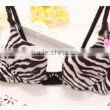 Latest Fashion Sexy Bra Girls Hot Sexy Bra Double Push up Bra thumbnail-2