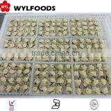 Hot Sale China Best Prcie for IQF Spring Roll thumbnail-6