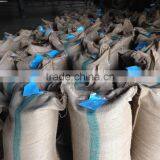 ARABICA GREEN COFFEE BEANS-HIGH QUALITY/ GOOD PRICE thumbnail-6