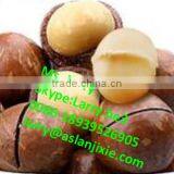 Bauple Nut Opener Machine/bauple Nut Opening Machine/bauple Nut Opener thumbnail-5