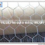 1" Galvanzied Hexagonal Wire Netting 25mm*25mm thumbnail-1