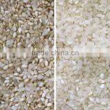Intelligent CCD Grain Color Sorter Sesame Color Sorter Price thumbnail-5
