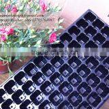 China Cheapest Price 72 Cell Not Coated Plastic Planting Seedling Nursery Tray for Seed Germination thumbnail-3
