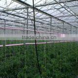 LED Interlighting Bar 75w Industrial Grow Lights Led Bar for Agriculture thumbnail-6