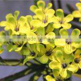 Home Garden Decoration 108cm Hight Pink Single Branch 6 Heads Small Artificial Wedding Flowers ELTH03 0402 thumbnail-5