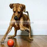 EVA Foam Dog Pet Products Pet Toy Pet Balls thumbnail-4