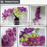 High Quality Artificial Flowers Tiny Hydrangea-5 Heads for Sales thumbnail-4