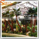 Outdoor Decorative Plasitc Tree,artificial Palm Tree thumbnail-5