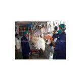 Electrical Stunner Machine