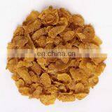 Fully Automatic Kelloggs Corn Flakes and Baby Breakfast Cereal Manufacturing Plant thumbnail-5