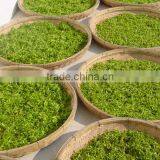 Premium Dragon Well Longjing Chinese Spring Green Tea