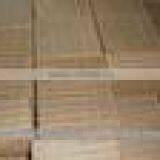 COCOPEAT SUBSTRATES thumbnail-3