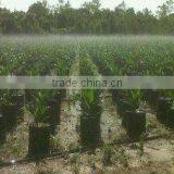 Agricultural Plastic Products