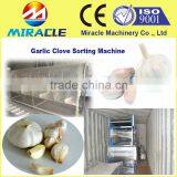 The Solution of Sorting the Dry Garlic Clove Grader and Sorter Machinery