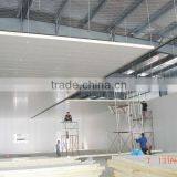 R404A Control Atmosphere Cold Storage for Flower thumbnail-5