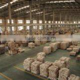 Foshan Shunde District Sangzi Import & Export Co., Ltd. company overview - view 3 thumbnail