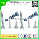 2016 New Custom Stainless Steel Screws and Nails Bulk Caps thumbnail-6