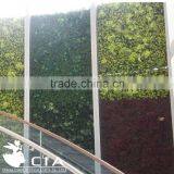 Hotel Project Landscape Artificial Green Wall thumbnail-3