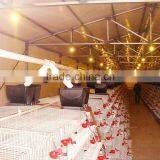 Wire Mesh Cage Quail Cages for Poultry Farm thumbnail-3