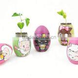 Magic Egg, Ceramic Egg Planting, New Product thumbnail-3