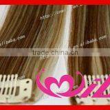 28 Inch Clip on Human Hair Extensions Fashion Mixed Color 1 Piece Clip in Hair Extensions