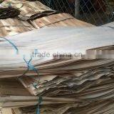 1.7 - 2.4 mm Eucalyptus Core Veneer thumbnail-4