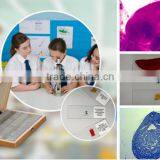 Chicken Embryology Glass Slides/chicken Embryology Prepared Slides thumbnail-1