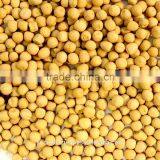 Australian White Peas thumbnail-1