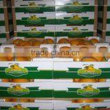 Honey Pomelo Grapefruit thumbnail-3