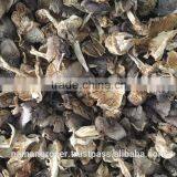 Dried Paddy Straw Mushroom (Volvariella Volvacea) thumbnail-1