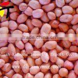 Sweet Delicious Raw Redskin Peanuts for Roasting thumbnail-3