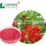 Pure Natural with Herbal Extract- Elderberry Fruit Extract Powder Sambucus williamsii with Anthocyanindins 25%