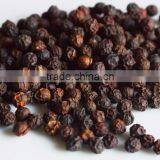 Indian Black Pepper Exporters thumbnail-3