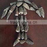 Top Quality of Dried Morchella Conica 3-6cm thumbnail-1