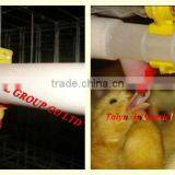 Poultry Nipple Drinker thumbnail-3