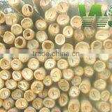 Natural Colorful Strong Bamboo Poles Agricultural thumbnail-1