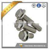 Customized Flange Head Hex Bolts With Hex Nuts,washer thumbnail-1