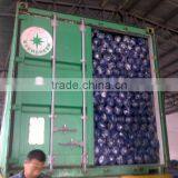 Outdoor Flooring Low Price Fabric Hdpe Polyethylene Rolls thumbnail-5