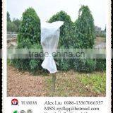 PP Non Woven Fabric Anti-freeze Bags thumbnail-4