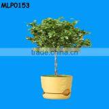 Morden Style Large Indoor Tree Pots thumbnail-1