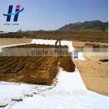 Reliable Nonwoven Geotextiles Fabrics for Soil Stabilization Support 110g thumbnail-6
