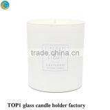 Lit Mercury Glass Globe Sea Glass Spray Paint Personalized Candle Jars