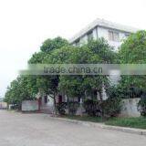 Protronics Company Limited company overview - view 2 thumbnail