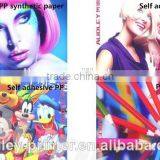 Audley 1.9m Multicolor Dx7 Head Eco Solvent Printer ADL-A1971 thumbnail-4