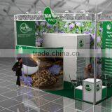Liquid Chicory Extract 100% Pure thumbnail-1