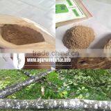 Agarwood Powder and Raw Incense Sticks Made by Agarwood or Oud Wood thumbnail-1