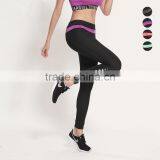 New Design Women Gym Running Pants/bra Fitness Yoga Sportwear Suit thumbnail-6