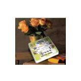 Mechanical Scale thumbnail-1